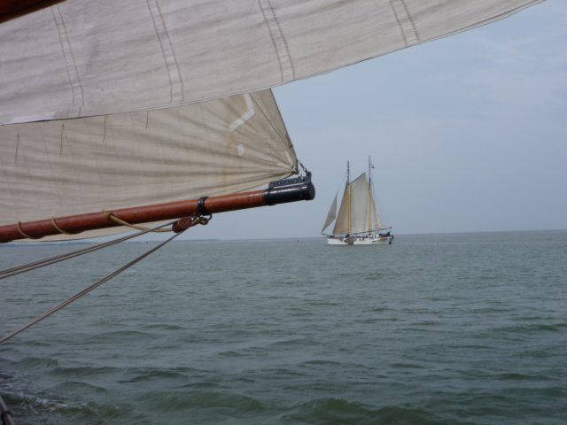 2011 Zeilen032.jpg